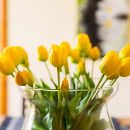 Via Dante アパート