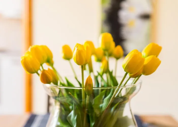 Via Dante Apartament